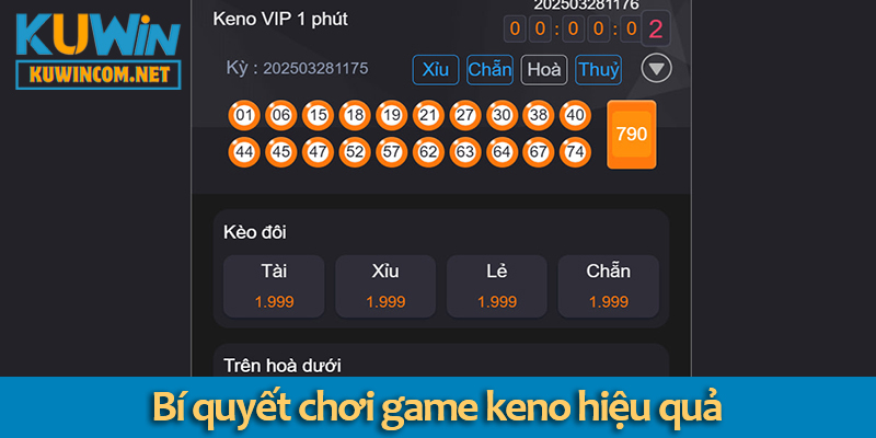 Xổ số Keno – Khám phá cách chơi và các loại cược trong trò chơi